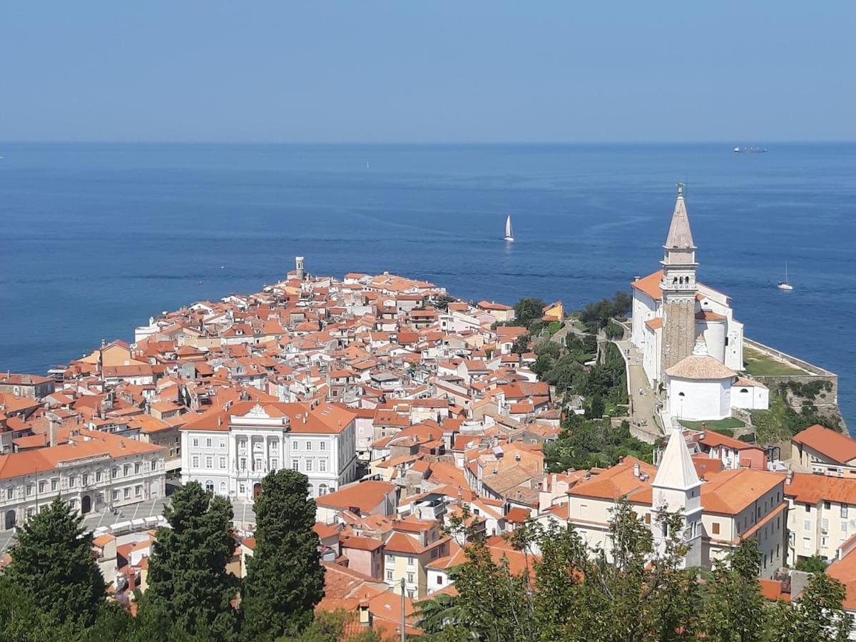 Great Terrace Facing Sea ! Apartment Piran